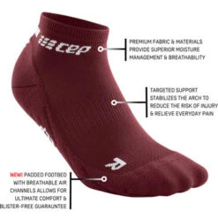 CEP Women's The Run Low Cut Socks 4.0 (Dark Red) -Cheap Brooks Store The Run Low 4.0 darkred infographic 360x 1b3a1c09 45d3 4590 a81a 0341edff3c42